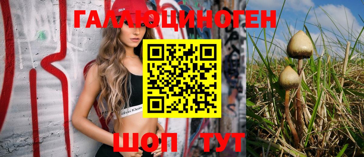 Похвистнево  Галлюциногенные грибы Magic Shrooms  Вход с VPN  Галлюциногенные грибы GOLDEN TEACHER 